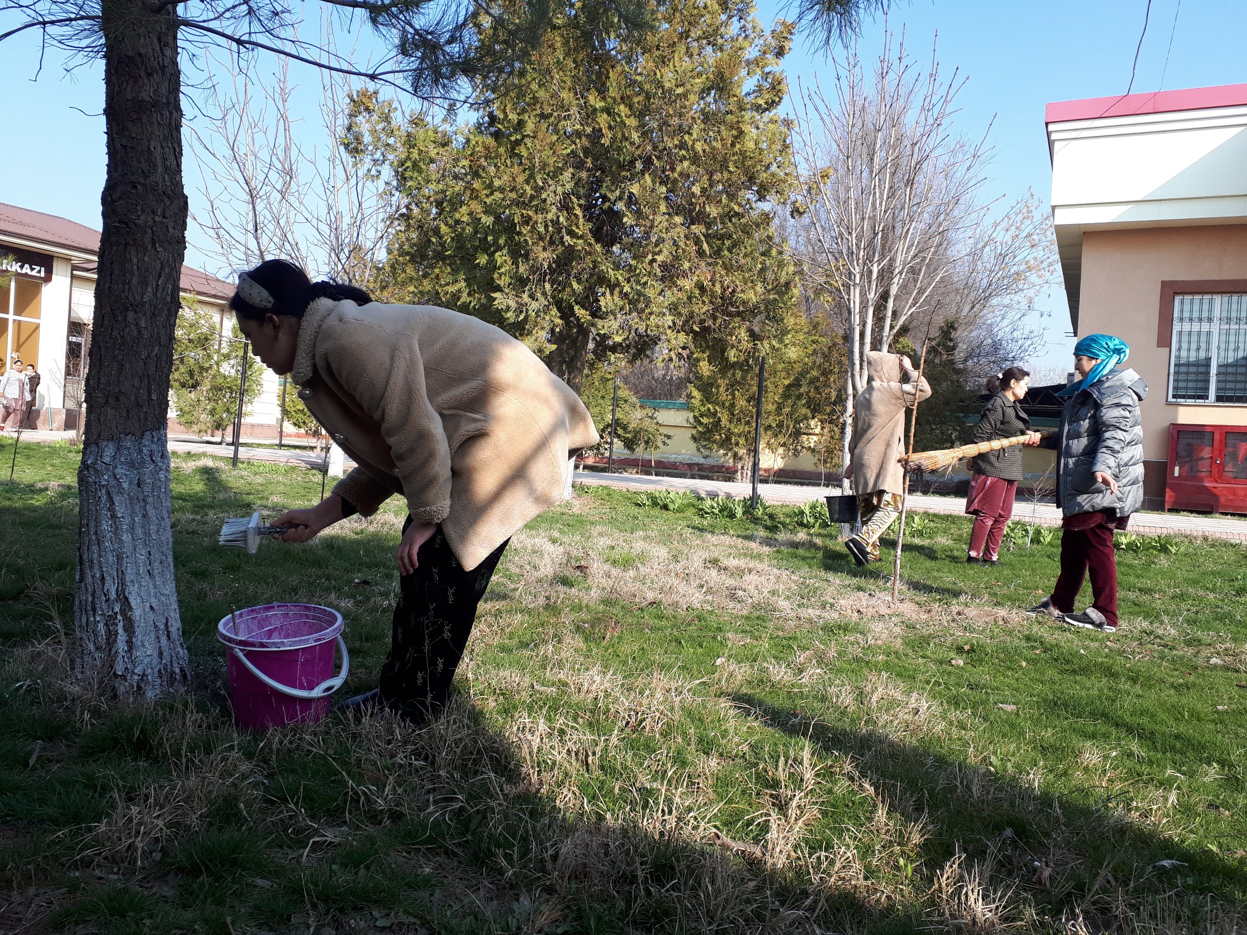 Obodonlashtirish_va_Kòkalamzorlashtirish_Jarayoni